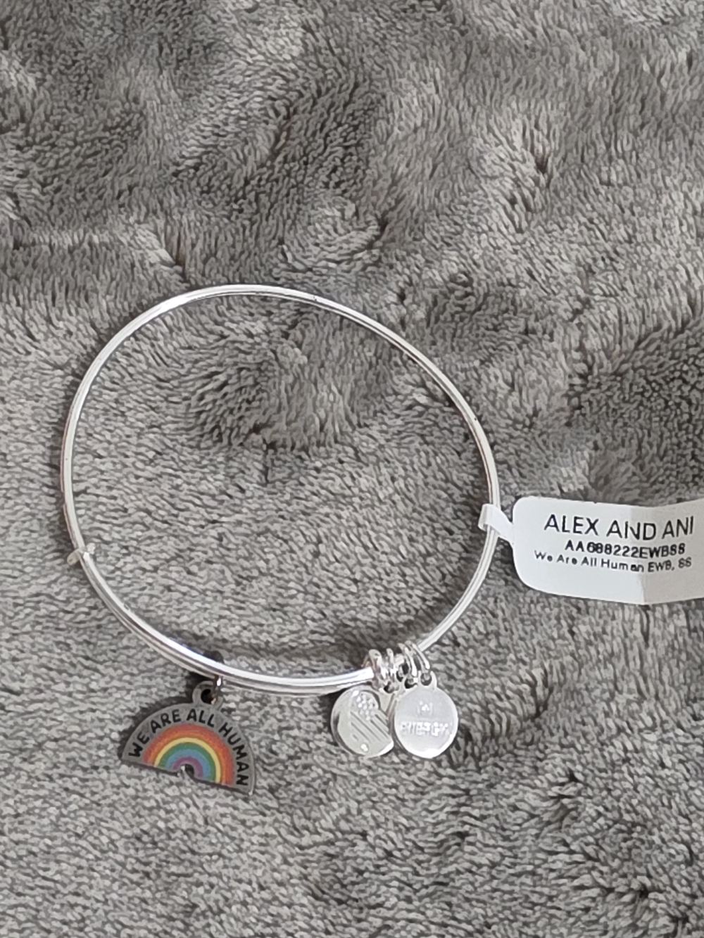 Alex and Ani Silver Bangle with Rainbow 'We Are All Human' Charm